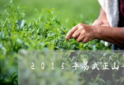 2015年易武正山普洱生茶/2023052740594