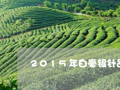 2015年白毫银针品韵/2023092441724