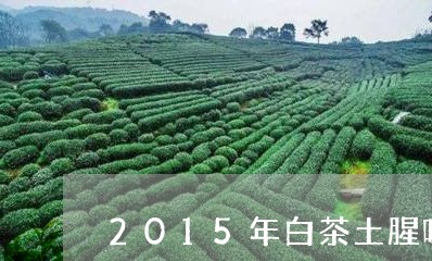 2015年白茶土腥味/2023092761783