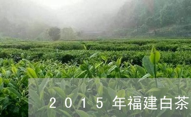 2015年福建白茶/2023120558378