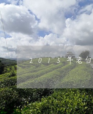 2015年老白茶价格福鼎/2023092565037