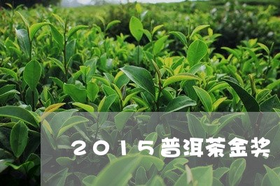 2015普洱茶金奖/2023070972049