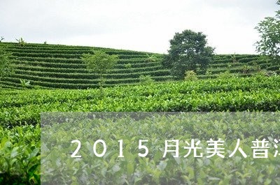 2015月光美人普洱茶/2023122072936