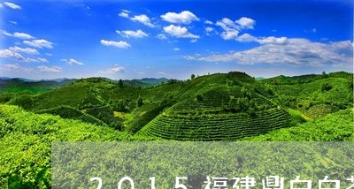 2015福建鼎白白茶/2023092058581