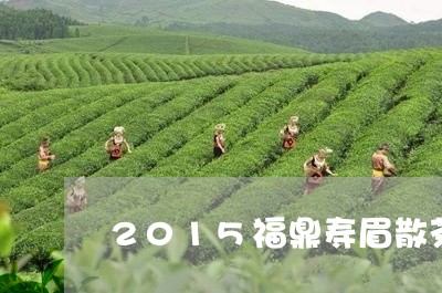 2015福鼎寿眉散茶特点/2023062700281