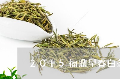 2015福鼎早春白茶/2023092053925