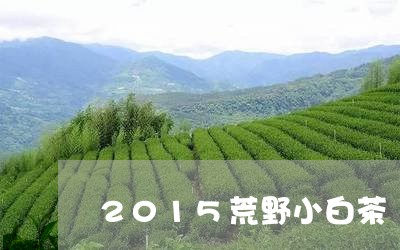 2015荒野小白茶/2023111739495