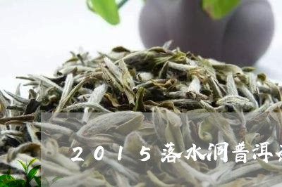 2015落水洞普洱茶/2023100826959