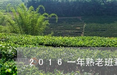 2016一年熟老班章/2023061248372