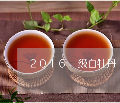 2016一级白牡丹/2023120528270