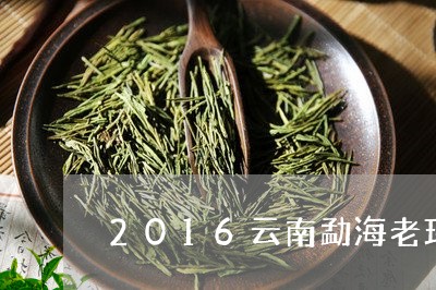 2016云南勐海老班章七子饼茶/2023060355961