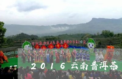 2016云南普洱茶/2023091464050