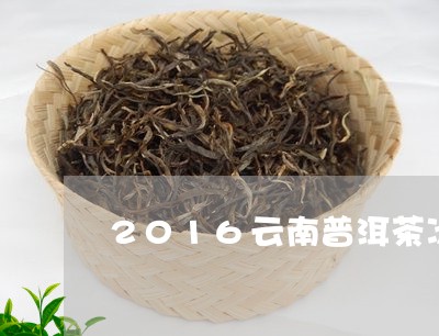 2016云南普洱茶冰岛/2023050587372