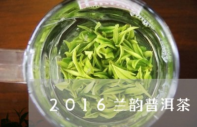 2016兰韵普洱茶/2023070816260