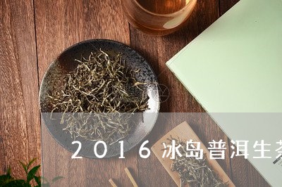 2016冰岛普洱生茶/2023092597370