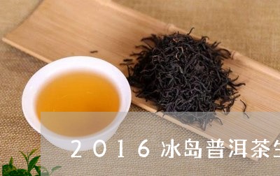 2016冰岛普洱茶生茶价格/2023052911834