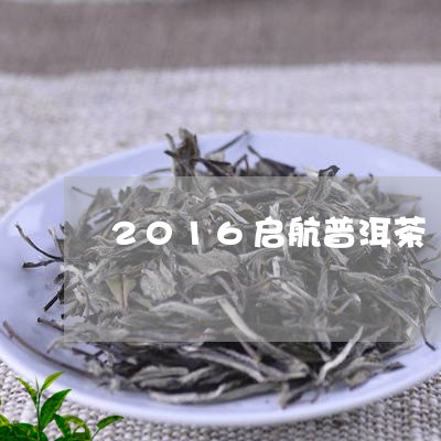 2016启航普洱茶/2023070925160