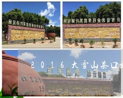 2016大雪山茶口感/2023060800591