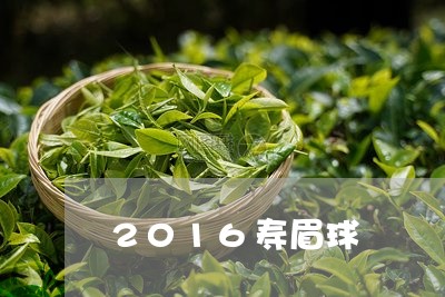 2016寿眉球/2023112577371