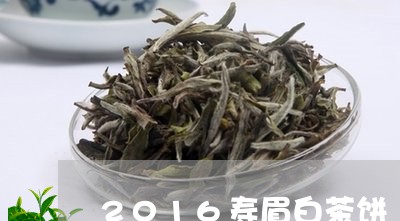 2016寿眉白茶饼/2023091216149