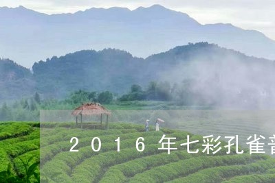 2016年七彩孔雀普洱生茶/2023052709625