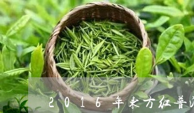 2016年东方红普洱茶/2023122036248