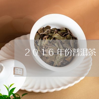 2016年份普洱茶/2023101793934