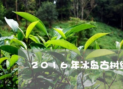 2016年冰岛古树纯料生茶价格/2023060398150