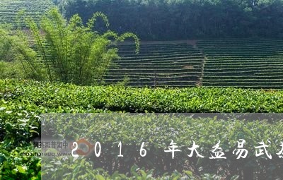 2016年大益易武茶价格/2023051286462