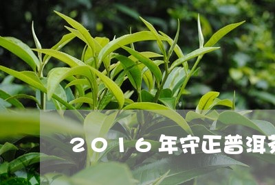 2016年守正普洱茶/2023062428304