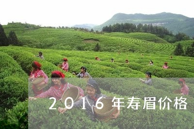 2016年寿眉价格/2023091291959