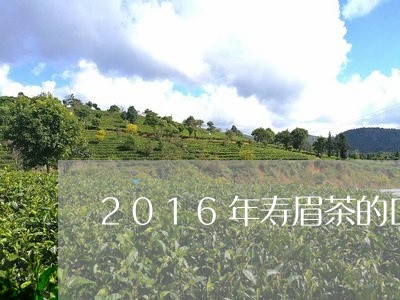 2016年寿眉茶的口感/2023092413250