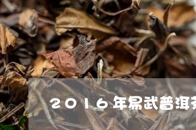 2016年易武普洱茶/2023062490681