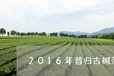 2016年昔归古树茶的价格/2023052613848