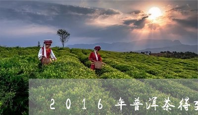 2016年普洱茶得奖/2023080306273