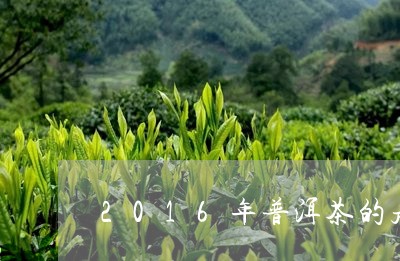 2016年普洱茶的走势图片/2023102535160