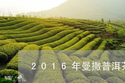 2016年曼撒普洱茶/2023080125069