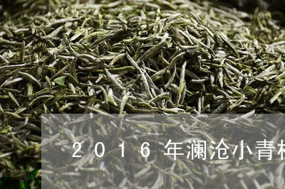 2016年澜沧小青柑/2023071662925