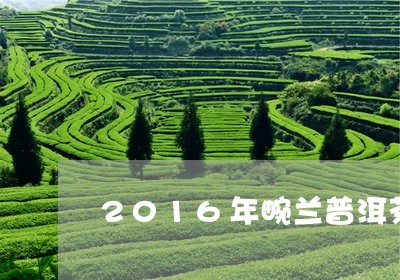 2016年畹兰普洱茶/2023080362717