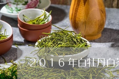 2016年白牡丹白茶价格多少/2023062859592