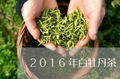 2016年白牡丹茶/2023120577282