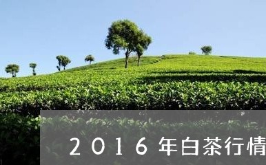 2016年白茶行情/2023071382705