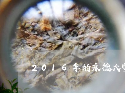 2016年的永德大雪山普洱茶/2023053014828