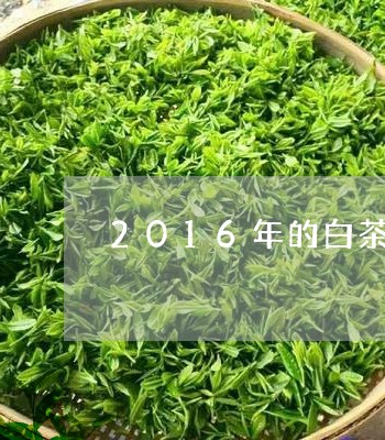 2016年的白茶饼怎么样/2023111794816