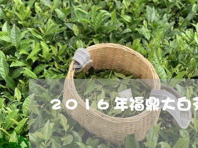 2016年福鼎大白茶饼/2023092170692