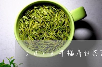 2016年福鼎白茶荒山古树茶/2023111593614