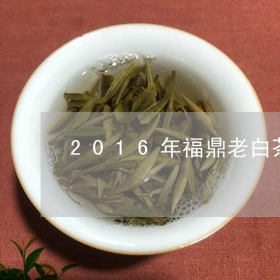 2016年福鼎老白茶饼/2023092164937