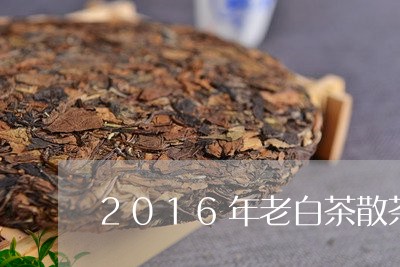 2016年老白茶散茶/2023092719401