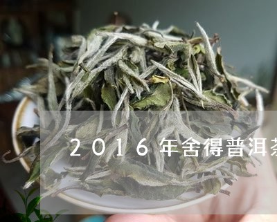 2016年舍得普洱茶/2023080270624