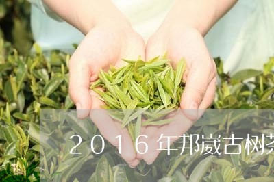 2016年邦崴古树茶价格/2023051264037